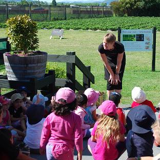 Educational Field Trips at Julians Berry Farm