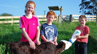 Educational Field Trips at Julians Berry Farm