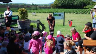 Educational Field Trips at Julians Berry Farm