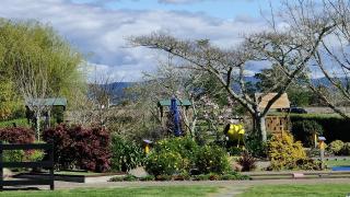 Minigolf at Julians Berry Farm Whakatane