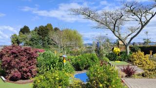 Minigolf at Julians Berry Farm Whakatane