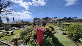 Minigolf at Julians Berry Farm Whakatane